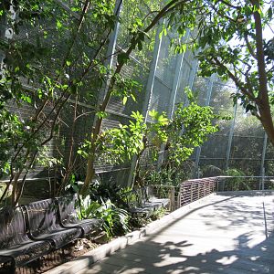Lost Forest - Gorilla Tropics - Scripps Aviary
