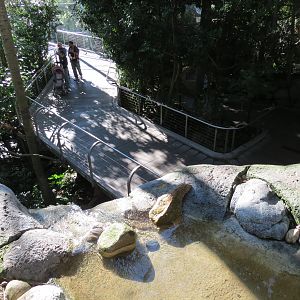 Lost Forest - Gorilla Tropics - Scripps Aviary