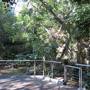 Lost Forest - Gorilla Tropics - Scripps Aviary