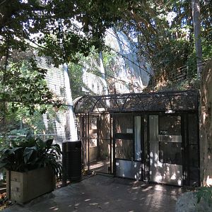 Lost Forest - Gorilla Tropics - Scripps Aviary