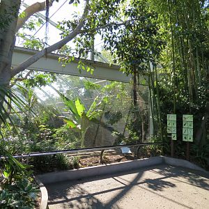 Lost Forest - Gorilla Tropics - Scripps Aviary