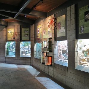 Lost Forest - Monkey Trails and Forest Tails - Reptile Exhibits