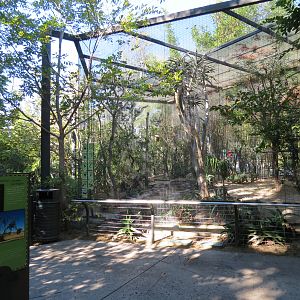 Lost Forest - Monkey Trails and Forest Tails - Sociable Weaver and Others E