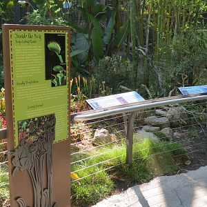 Lost Forest - Monkey Trails and Forest Tails - Bog Exhibit