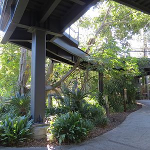 Lost Forest - Monkey Trails and Forest Tails - Elevated Walkway
