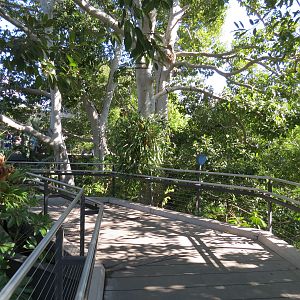 Lost Forest - Monkey Trails and Forest Tails - Elevated Walkway