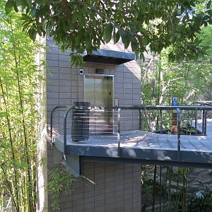 Lost Forest - Monkey Trails and Forest Tails - Elevated Walkway