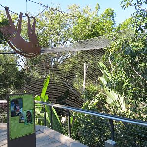 Lost Forest - Monkey Trails and Forest Tails - Mandrill, Schmidt's Spot-nos