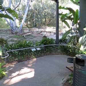 Lost Forest - Monkey Trails and Forest Tails - Mandrill, Schmidt's Spot-nos