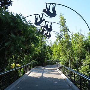 Lost Forest - Monkey Trails and Forest Tails - Entry Walkway