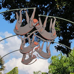 Lost Forest - Monkey Trails and Forest Tails - Entry Walkway