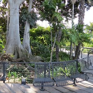 Lost Forest - Monkey Trails and Forest Tails - Walkway Near Flamingo Exhibi