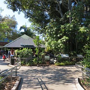 Lost Forest - Monkey Trails and Forest Tails - Safari Kitchen