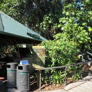 Lost Forest - Monkey Trails and Forest Tails - Safari Kitchen