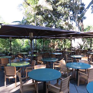 Lost Forest - Monkey Trails and Forest Tails - Safari Kitchen