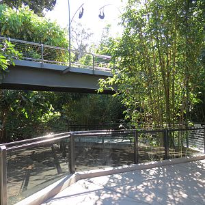 Lost Forest - Monkey Trails and Forest Tails - Walkway Between Babirusa Exh