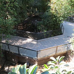 Lost Forest - Monkey Trails and Forest Tails - Walkway Between Babirusa Exh