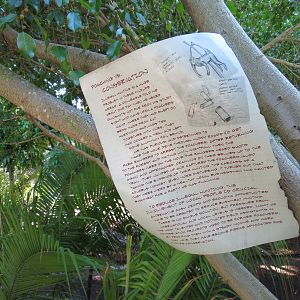 Lost Forest - Monkey Trails and Forest Tails - Interpretive Field Note Sign