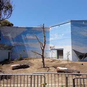 Future Wolverine Exhibit