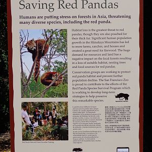 Red Panda Treehouse Signage