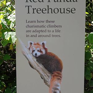 Red Panda Treehouse Sign