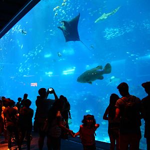 Formerly the world's largest acrylic window