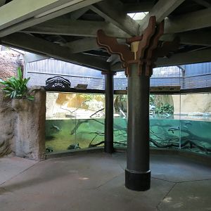 Lost Forest - Tiger River - Gharial and Turtles Exhibit