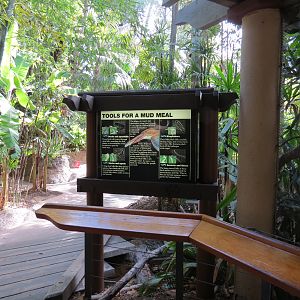 Lost Forest - Tiger River - Marsh Aviary