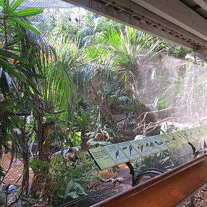 Lost Forest - Tiger River - Marsh Aviary