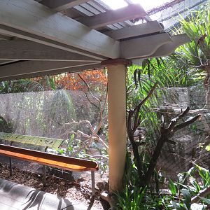 Lost Forest - Tiger River - Marsh Aviary