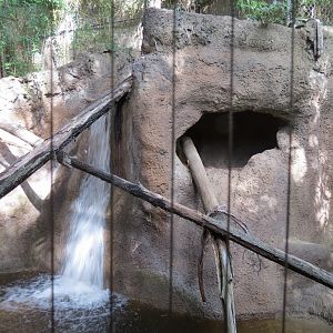 Lost Forest - Tiger River - Fishing Cat Exhibit