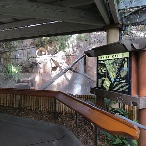 Lost Forest - Tiger River - Fishing Cat Exhibit