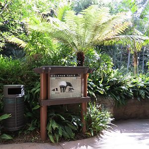 Lost Forest - Tiger River - Malayan Tapir Exhibit