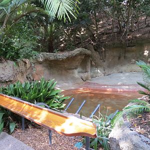 Lost Forest - Tiger River - Malayan Tapir Exhibit
