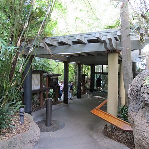 Lost Forest - Tiger River - Malayan Tapir Exhibit