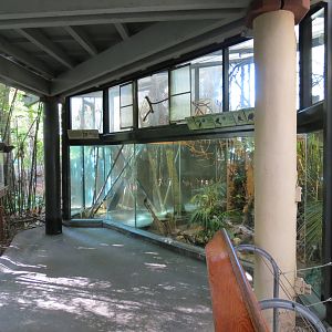 Lost Forest - Tiger River - Blue-crowned Hanging Parrot and Others Exhibit