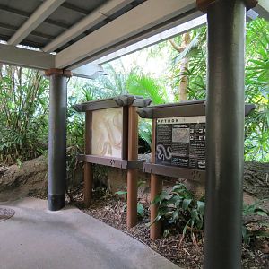 Lost Forest - Tiger River - Viewing Pavilion