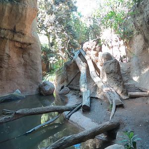 Lost Forest - Tiger River - Malayan Tiger Exhibit