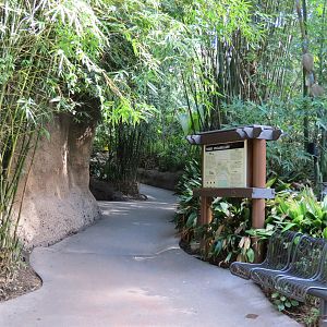 Lost Forest - Tiger River - Malayan Tiger Exhibit