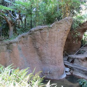 Lost Forest - Tiger River - Malayan Tiger Exhibit