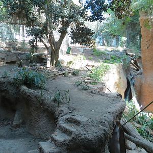 Lost Forest - Tiger River - Malayan Tiger Exhibit