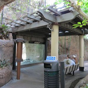Lost Forest - Tiger River - Malayan Tiger Exhibit