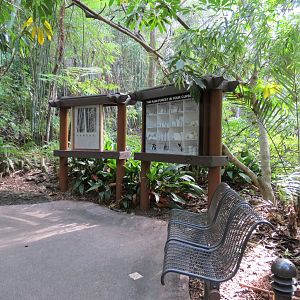 Lost Forest - Tiger River - Path