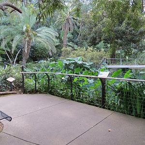 Lost Forest - Ituri Forest - Hippopotamus Exhibit