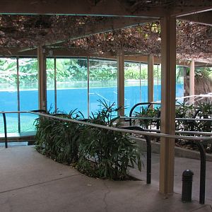 Lost Forest - Ituri Forest - Hippopotamus Exhibit