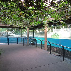 Lost Forest - Ituri Forest - Hippopotamus Exhibit