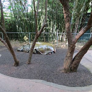 Lost Forest - Ituri Forest - Hippopotamus Play Area