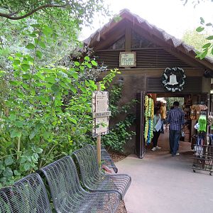 Lost Forest - Ituri Forest - Epulu Village