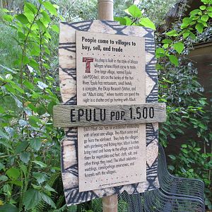 Lost Forest - Ituri Forest - Epulu Village