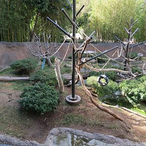 Lost Forest - Ituri Forest - African Spot-necked Otter and Others Exhibit